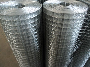 現(xiàn)貨銷售工藝墻面鐵絲網(wǎng)、保溫兔籠與養(yǎng)殖水貂籠網(wǎng) 深州市騰源絲網(wǎng)廠的專業(yè)金屬網(wǎng)解決方案